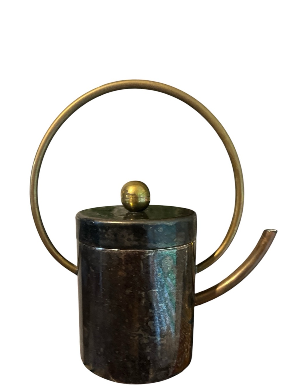 Vintage Indoor Watering Can